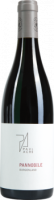 Paul Achs  Pannobile